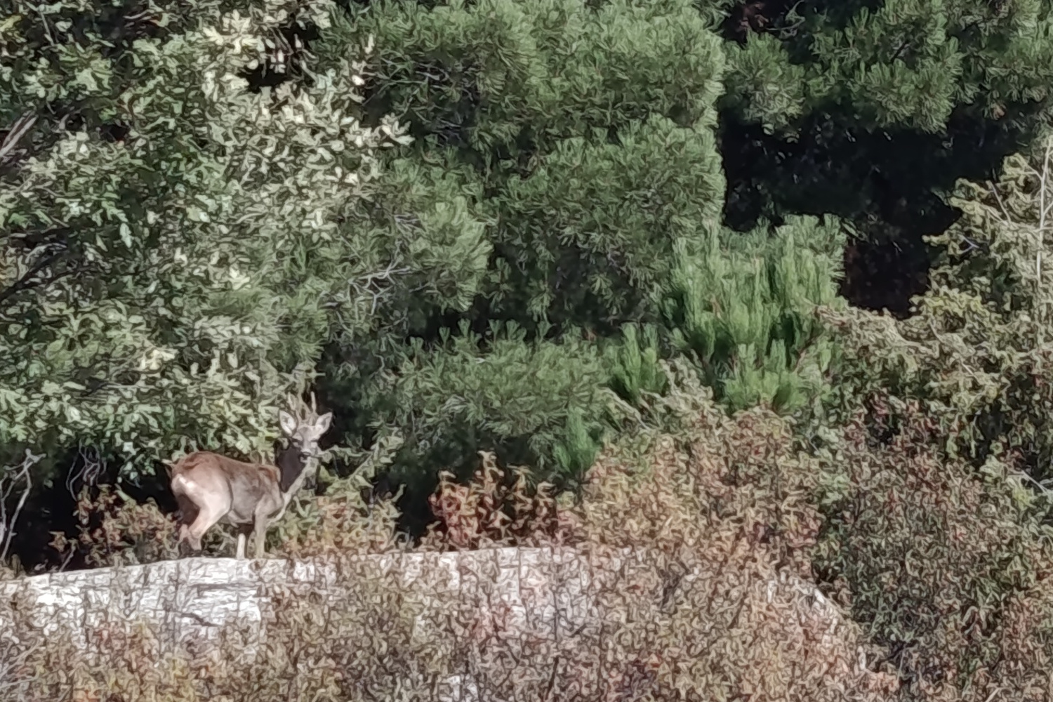 IMG_20251014_150128_1200