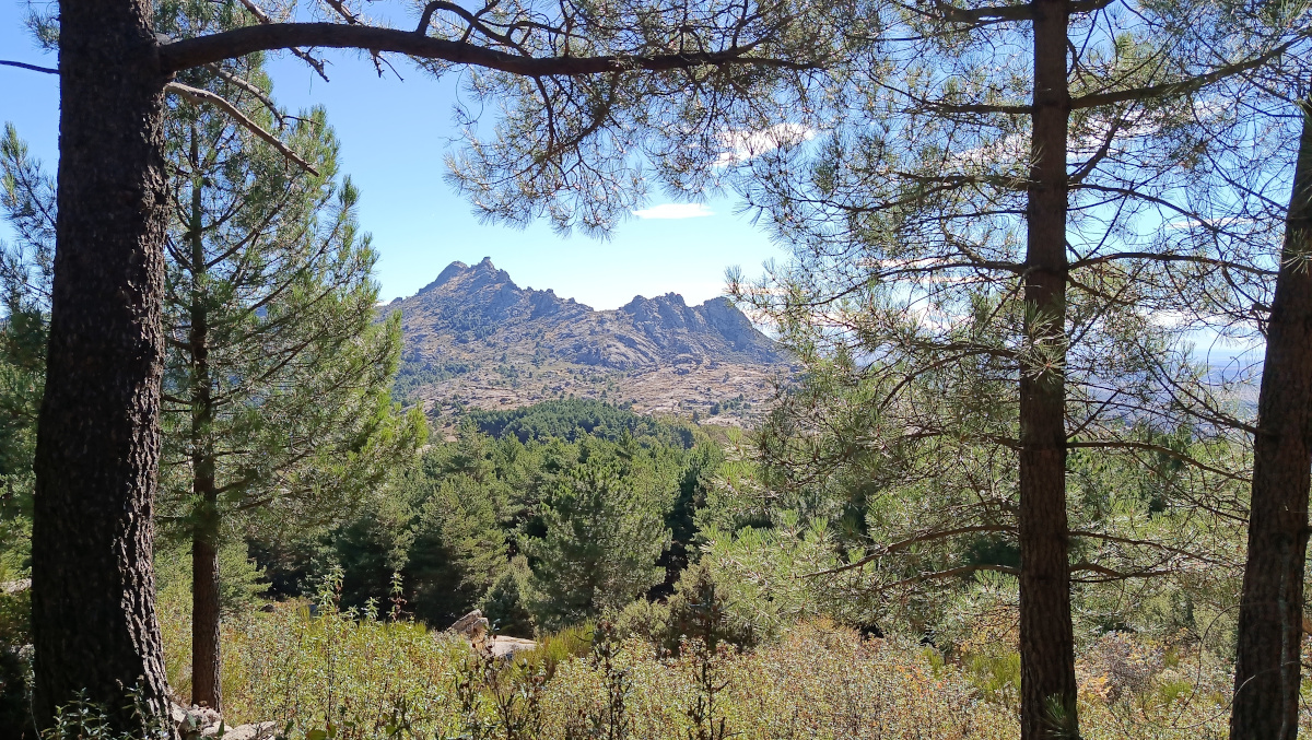 IMG_20251023_122628_1200