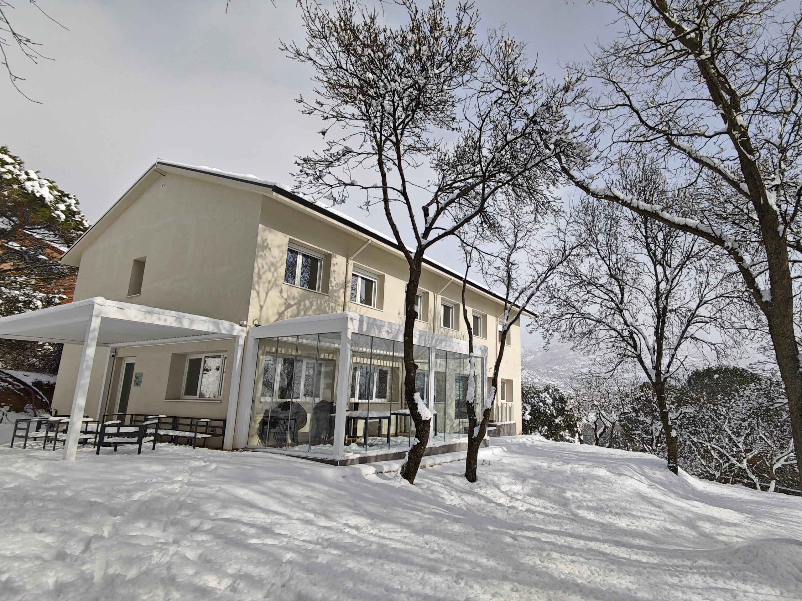 IMG_20260128_121818_1200b